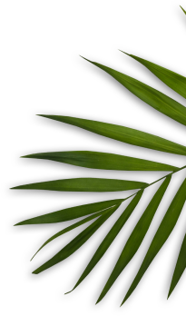 algheroubladiessalon.com