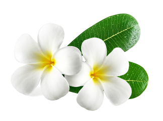 algheroubladiessalon.com