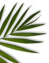 algheroubladiessalon.com